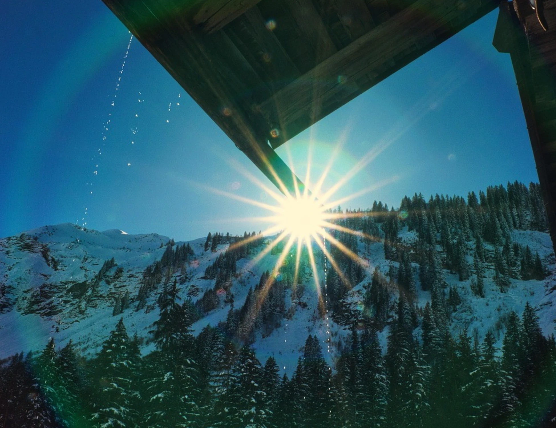 Meteo Giuliacci, un Natale a 20 gradi: previsioni choc