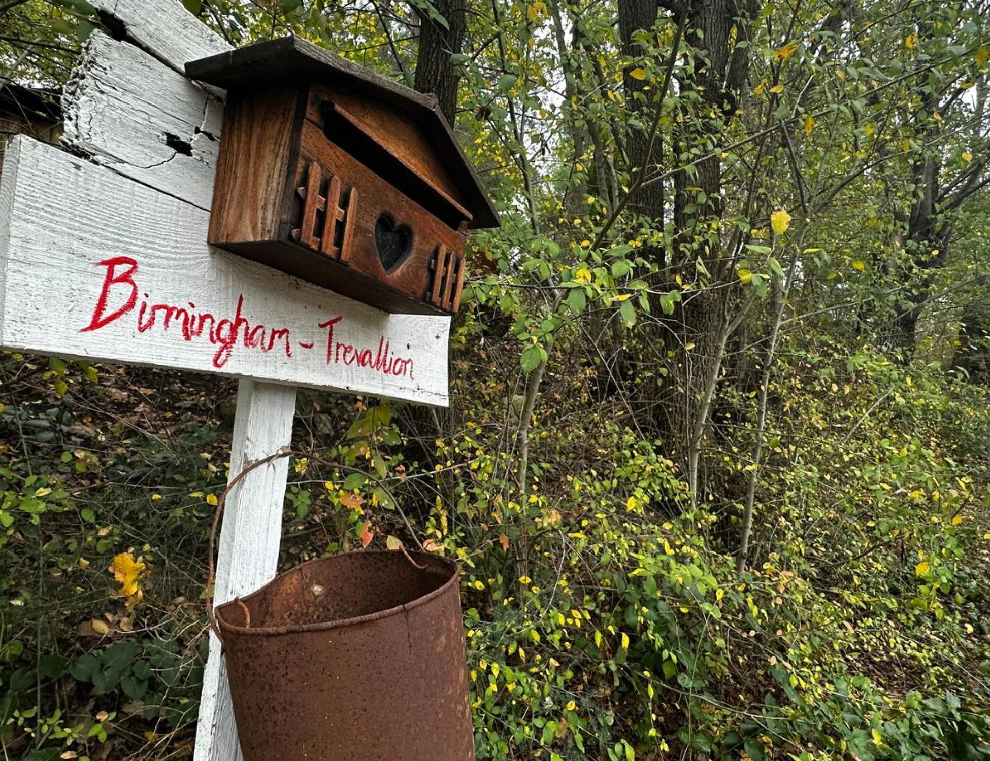 Famiglia nel bosco: "Noi ai tubi in politilene e al cloro", cosa emerge