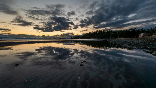 I "segreti" della cronobiologia