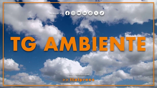 https://media.liberoquotidiano.it/ELGelyrI3lNqq0-177ojuk-9RaGDz1SF_lqxP2FrCpk/width:800/quality:90/aW1hZ2VzLzIwMjUvMDkvMTQvMTMwNTMwODIxLTMwOTIwMDI5LTNjZGUtNDVjZS05MjI1LTAwYmQ5MDNmOTE0Ny5qcGc.webp