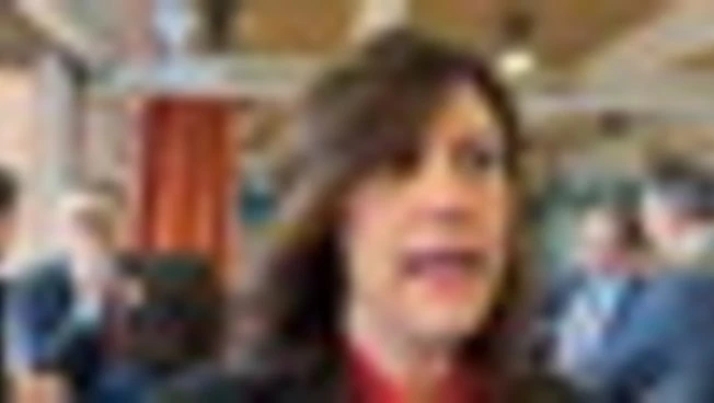 Braga (Pd): spingere su rinnovabili e rafforzare Acquirente Unico