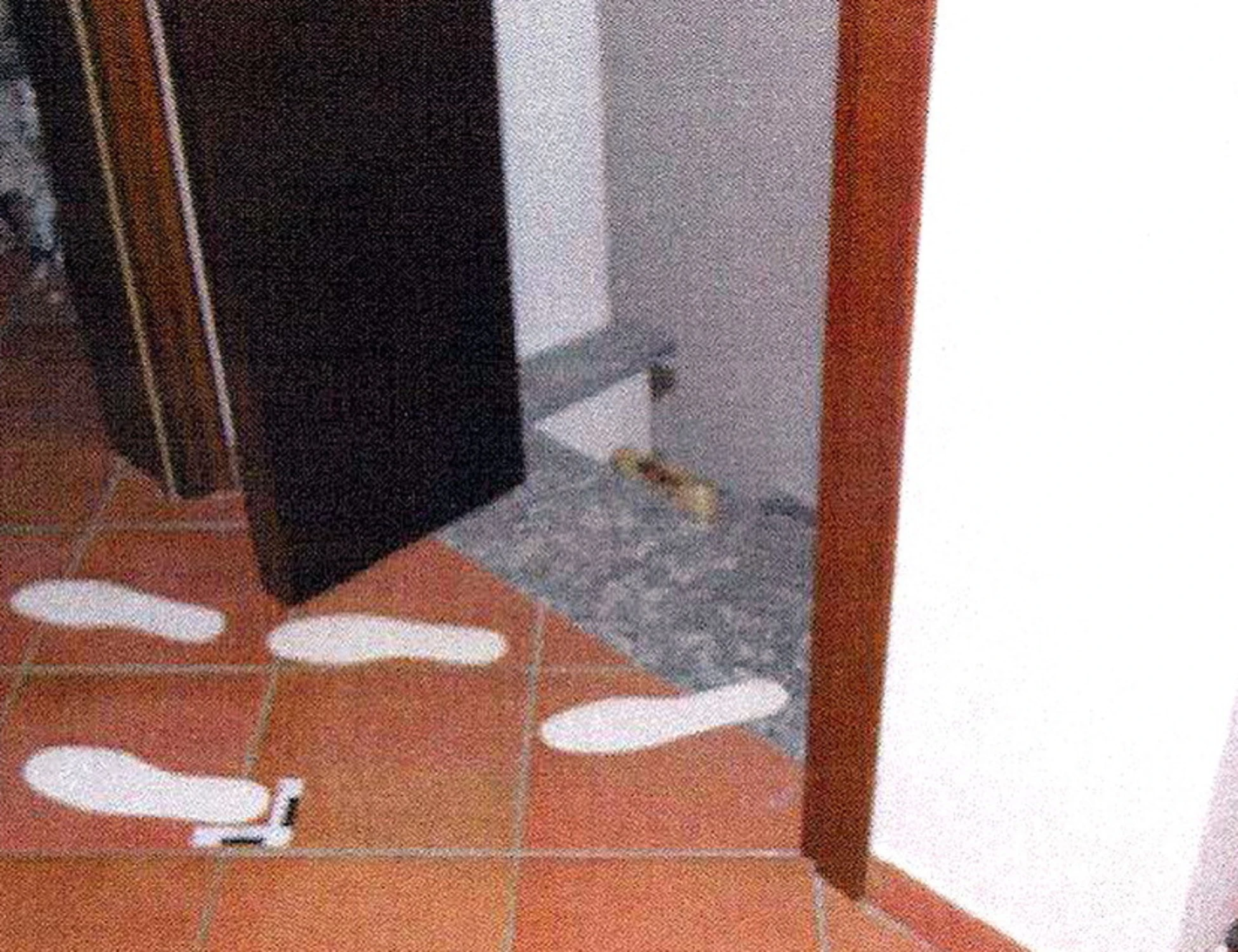 Garlasco, era tutto chiaro già ad agosto 2007