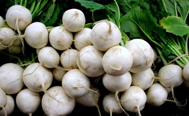 Cime di rapa, ossa e sistema nervoso: perché sì