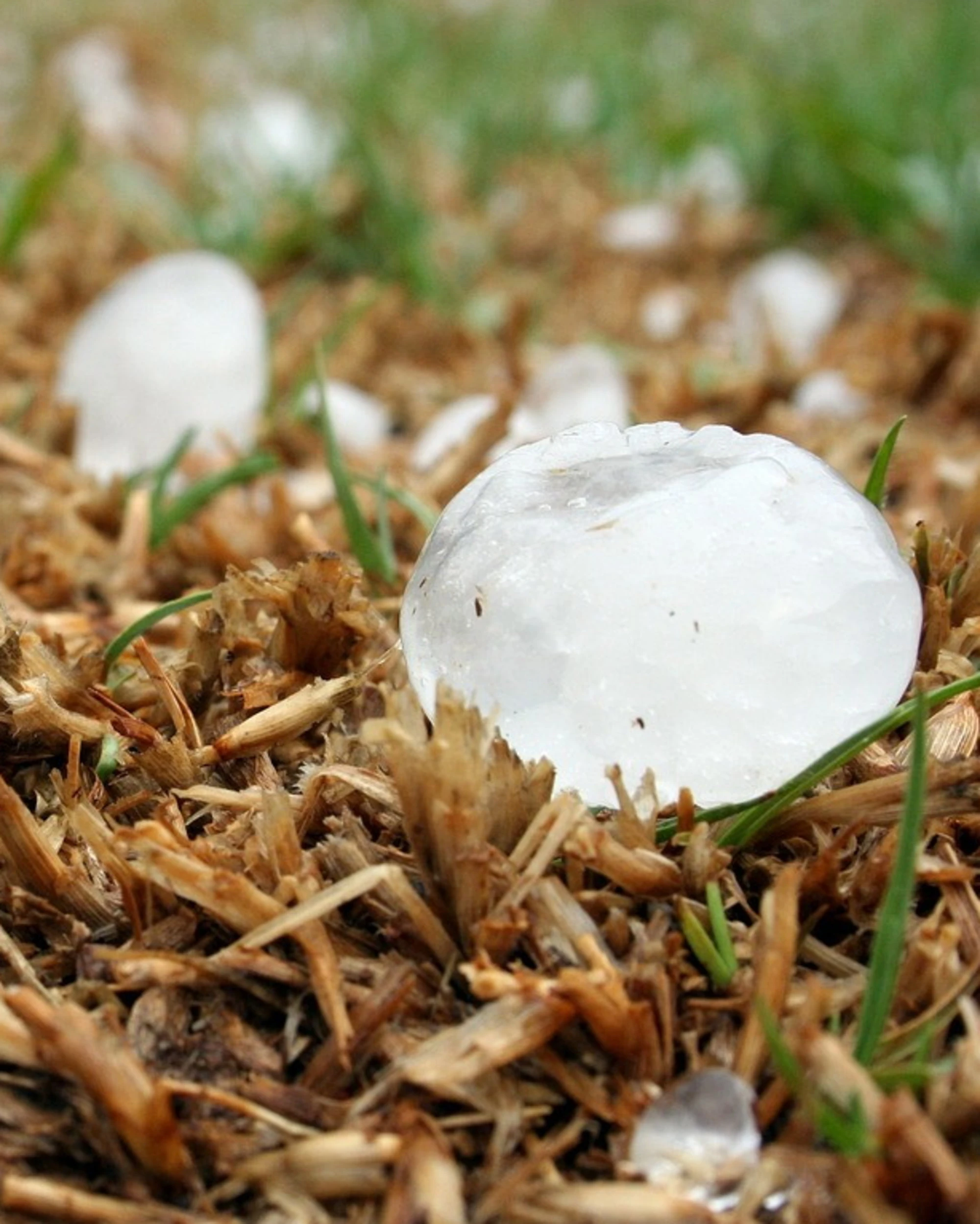 Meteo, "grandine e nubifragi": ore di paura, dove si abbatte la tempesta
