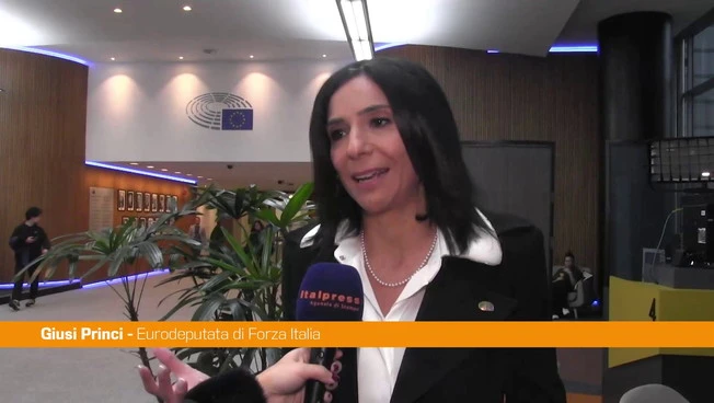 Princi "Con il pacchetto di allargamento Europa più forte e competitiva"