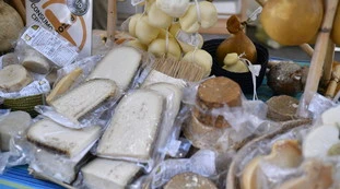 Formaggio e micotossine, cosa ci hanno trovaro dentro