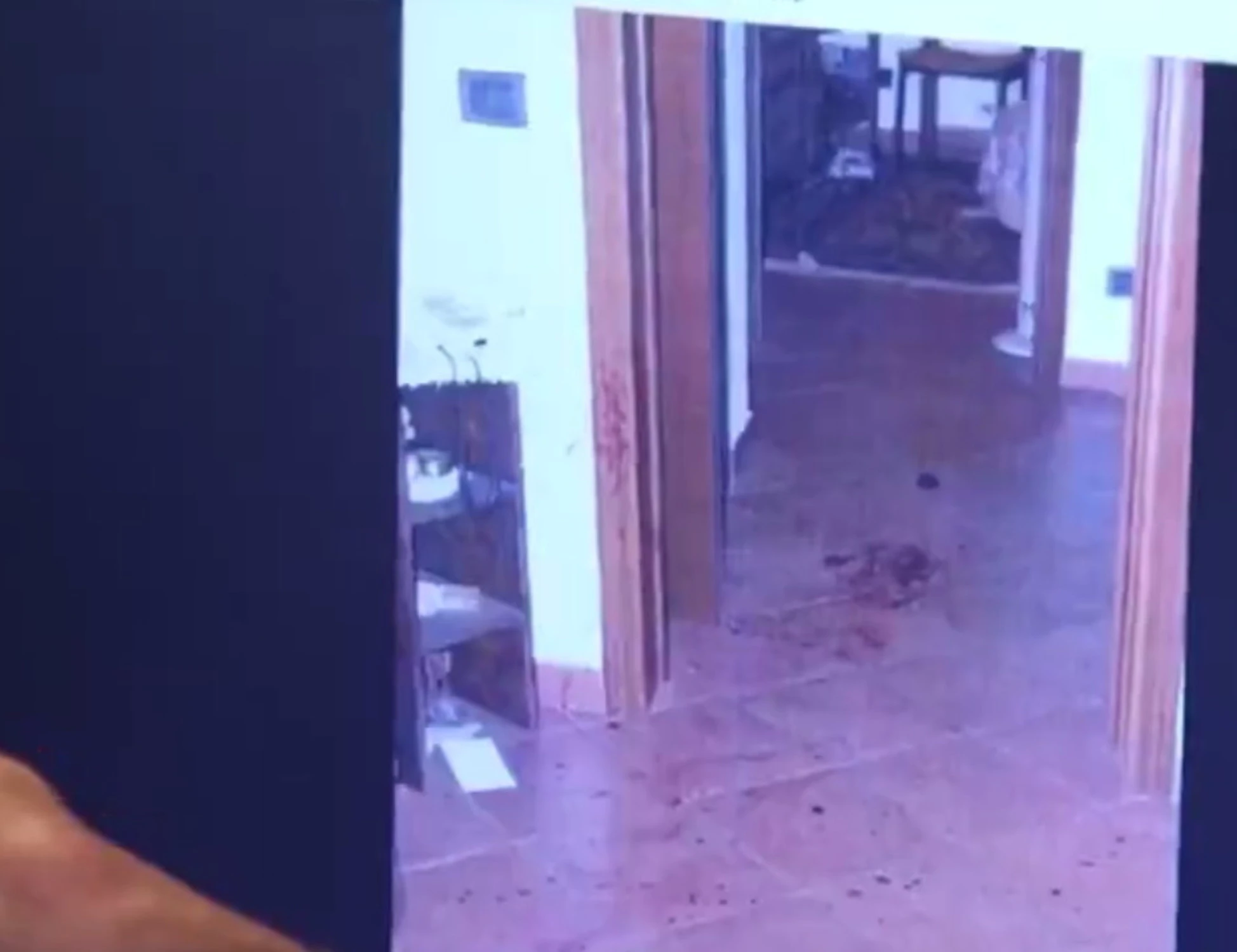 Garlasco, "nei punti dove non c'era sangue": cosa non torna sulla camminata di Stasi