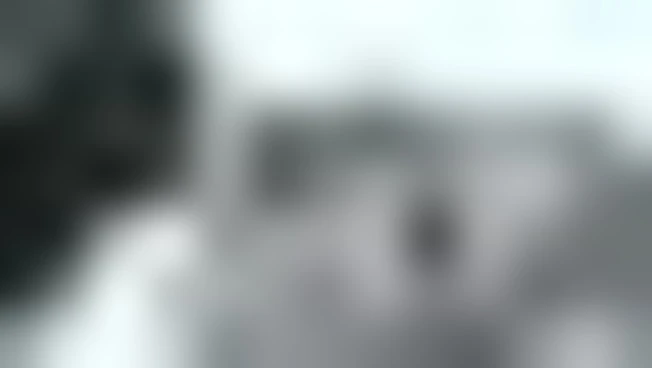 https://media.liberoquotidiano.it/EegGu_Y8bvzhZIVD0wezmLkrdqHLGClkUizXUg4lj5A/width:800/quality:90/aW1hZ2VzLzIwMjYvMDUvMTIvMTQzMzQzMzgwLWE3MTMxNTBjLWE0MzUtNGRmZi05NDc5LWQxMGVlNzI4ZWQwMi5qcGc.webp