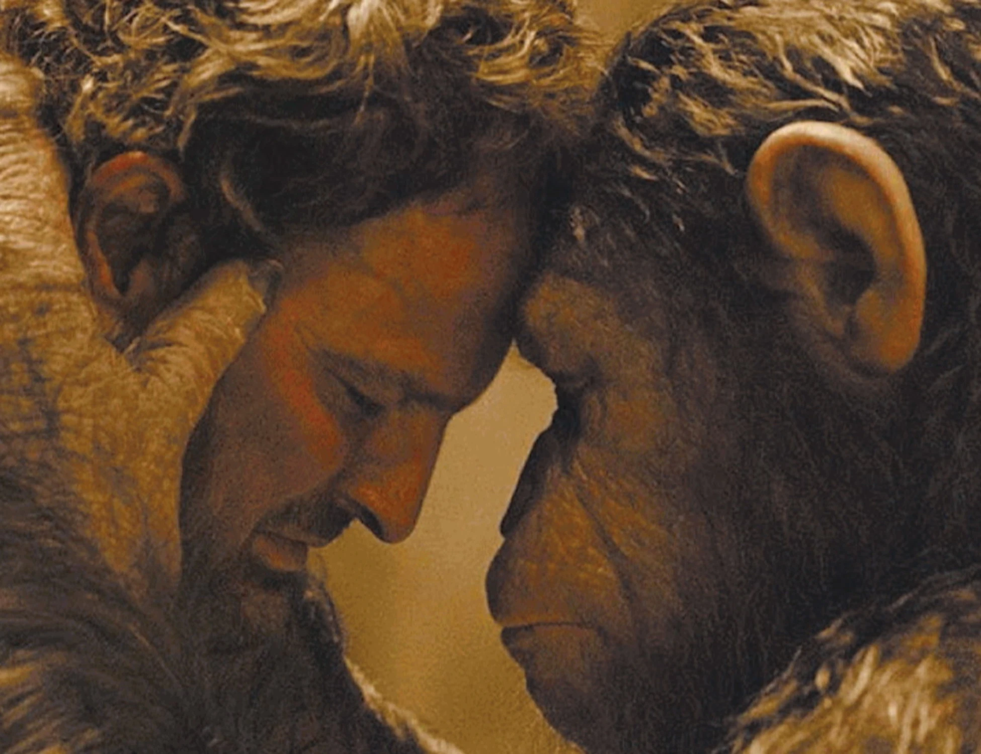 La vera storia dell’uomo e la scimmia: parenti sì, ma non così stretti