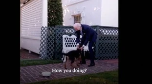 Joe Biden, il cane fuori controllo: "Dieci morsi, in ospedale"
