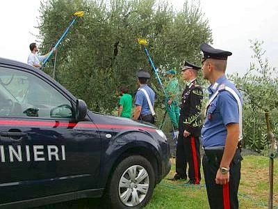 Alessandria, 15 lavoratori in nero