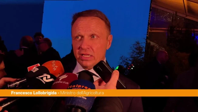 Ue, Lollobrigida "Padri fondatori lavorarono per sostegno agricoltori"