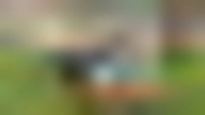https://media.liberoquotidiano.it/ExZZa46TyDuNn0XWcgpFZjWLcssi5XSZnFQhuLyjQ4w/width:800/quality:90/aW1hZ2VzLzIwMjUvMDkvMTYvMDcyOTU3MzcyLTI1NDg0MmFmLTc2NmYtNDJjYy05ZmFkLTRhZjNiNDY1MzllZi5qcGc.webp