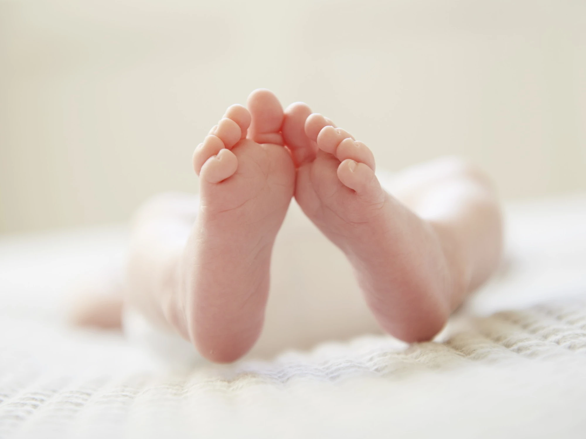Coppie senza figli, casalinghi solitari Nel 2050 italiani in calo di 4 milioni