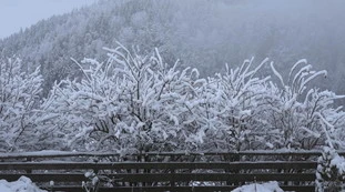 Meteo estremo, meno 37 gradi. Mai visto a novembre e adesso l'Italia trema 