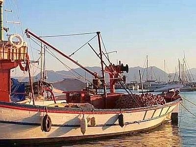 Nel Mar Mediterraneo l'82% delle risorse ittiche risulta sovrasfruttato