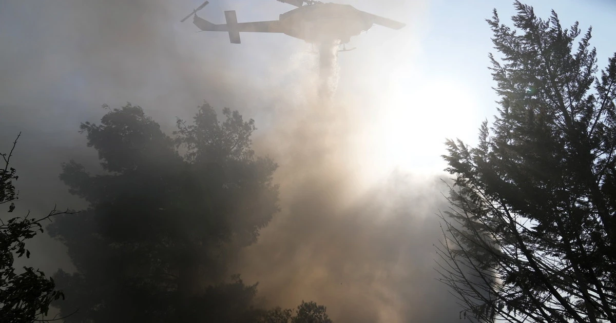 Incendi, stato di emergenza in Sicilia, Sardegna, Molise e Calabria. Patuanelli: "È il primo passo"
