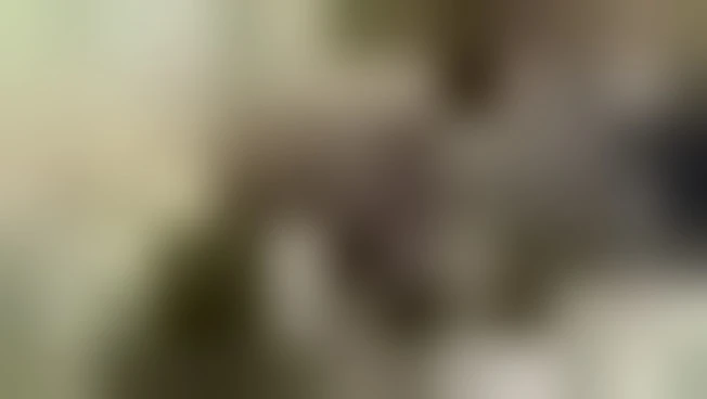 https://media.liberoquotidiano.it/FDEYr3Ts5xspHLy5Ym0lzr_hNMyZlBvf1iR-mrSKx3w/width:800/quality:90/aW1hZ2VzLzIwMjYvMDUvMDUvMTU0MTIzMDQ1LTBkOTRjOTljLTE4YzgtNDAyZC1hNDYyLTNmMTAwM2JiYzJjNC5qcGc.webp