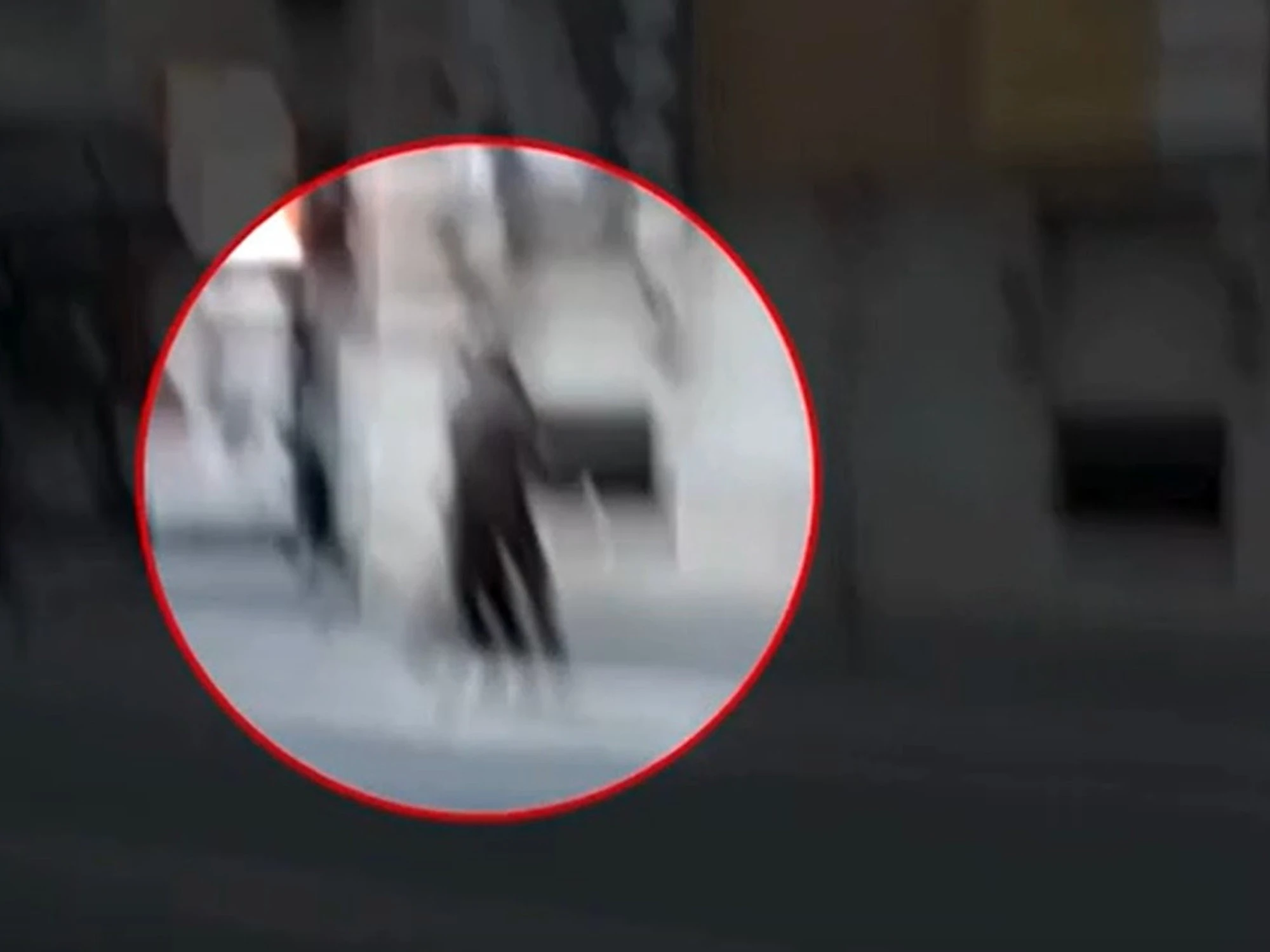 Massimo Giletti aggredito in strada, preso a pugni dall'ex Sisde: il video-choc