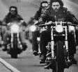 Venti Hell's Angels arrestati
