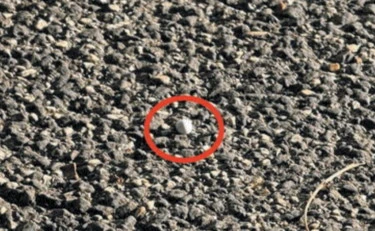 Casco integrale e giubbotto militare: caccia all'uomo del 25 aprile