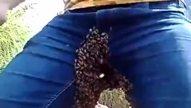 480x640