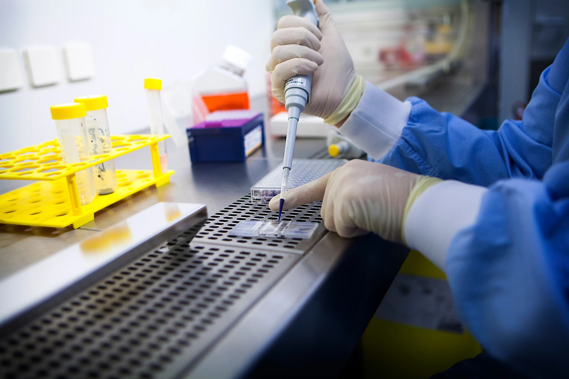 Cancro, gli obesi hanno il 50% di possibilità in più di contrarre la malattia: lo studio