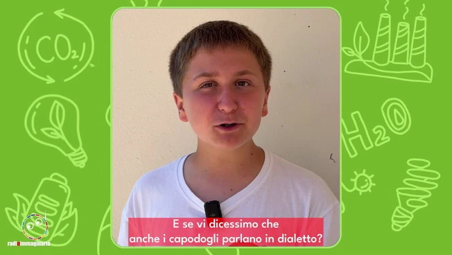 I capodogli del Mediterraneo parlano in dialetto