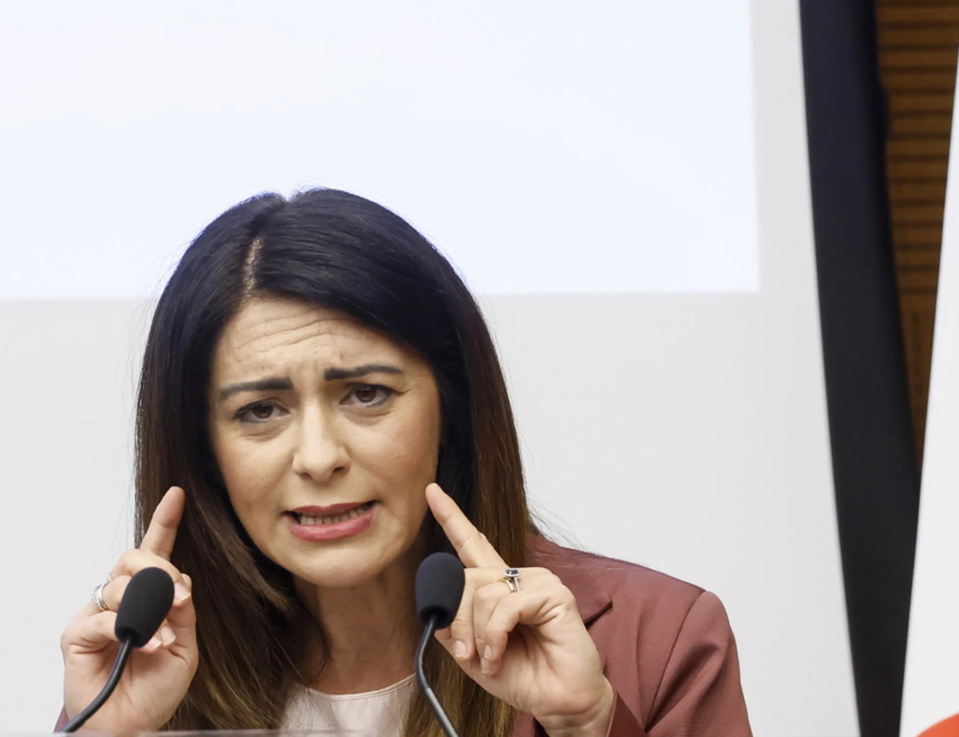 Pina Picierno polemica sul Pd ed Elly Schlein: "Ha toccato punte surreali"