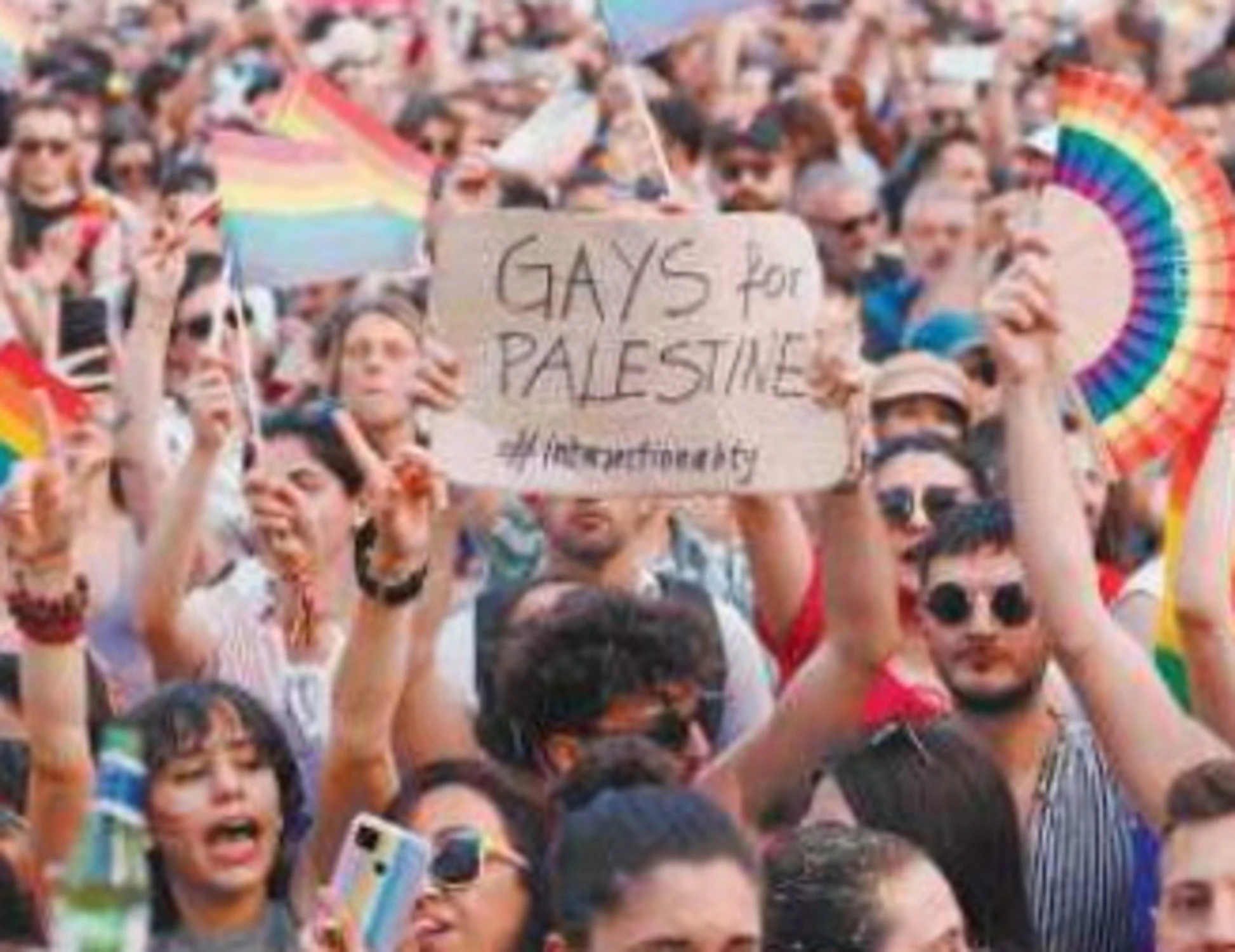 Scuola, la propaganda gender: dalle scale colorate ai conigli gay