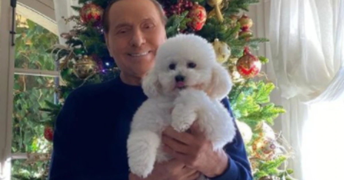 Silvio Berlusconi, occhio allo sfondo: dove si trova nel giorno di Natale (e con chi)