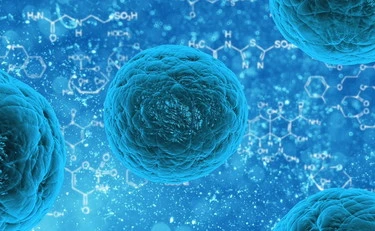 Influenza, addio: la proteina che può azzerare il malanno