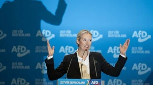 AfD, il sondaggio a due settimane dal voto in Germania: si aprono scenari clamorosi