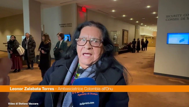 Onu, l'ambasciatrice della Colombia "Siamo qui per la pace"