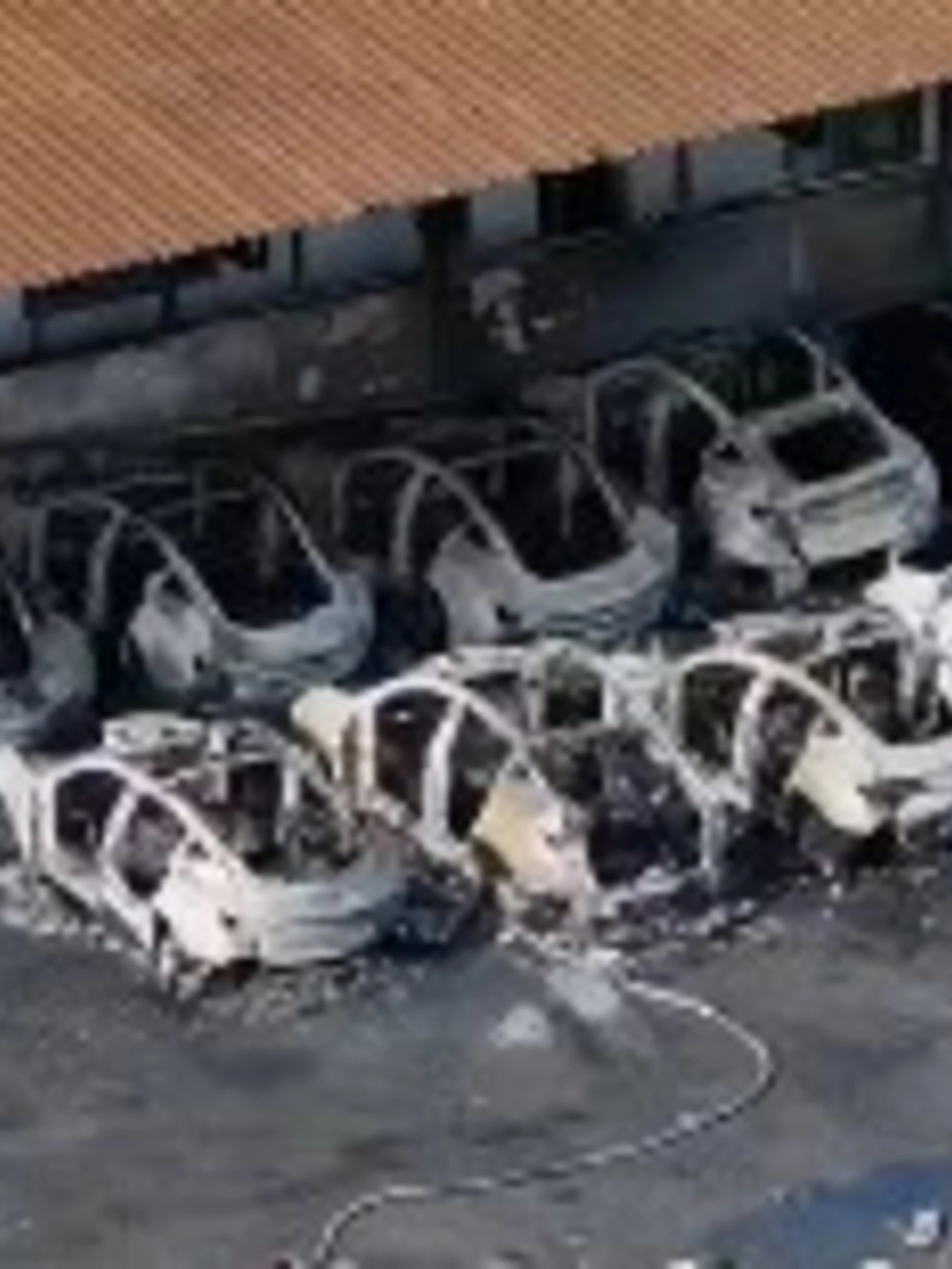 Tesla in fiamme, le auto di Elon Musk sotto attacco: roghi a Roma e in Francia