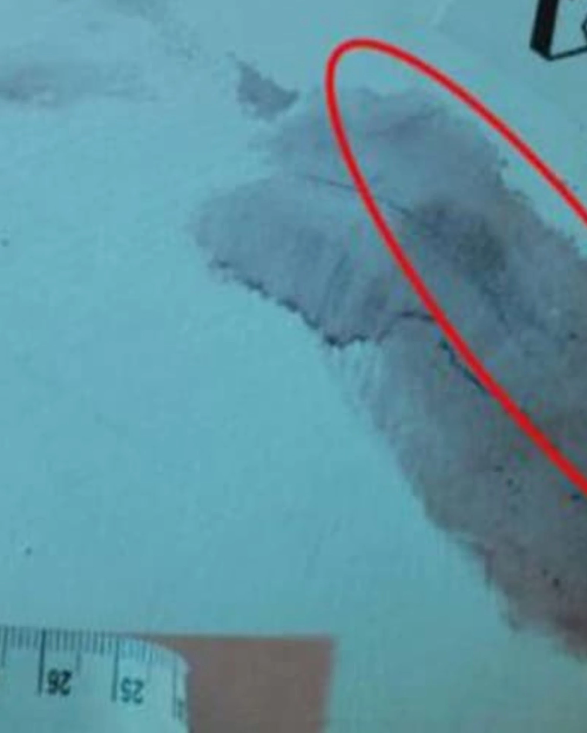 Garlasco, nuovo scontro su impronte e traccia 33