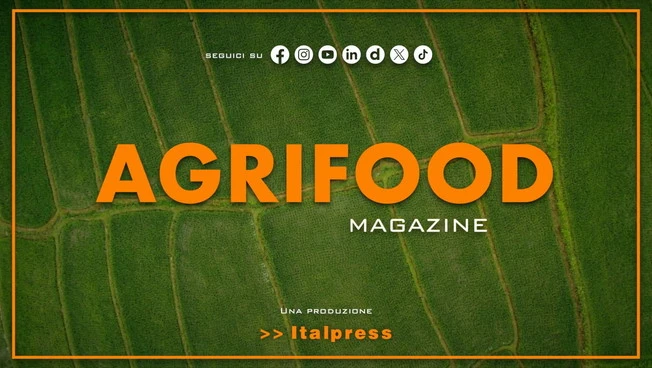 Agrifood Magazine - 30/9/2026