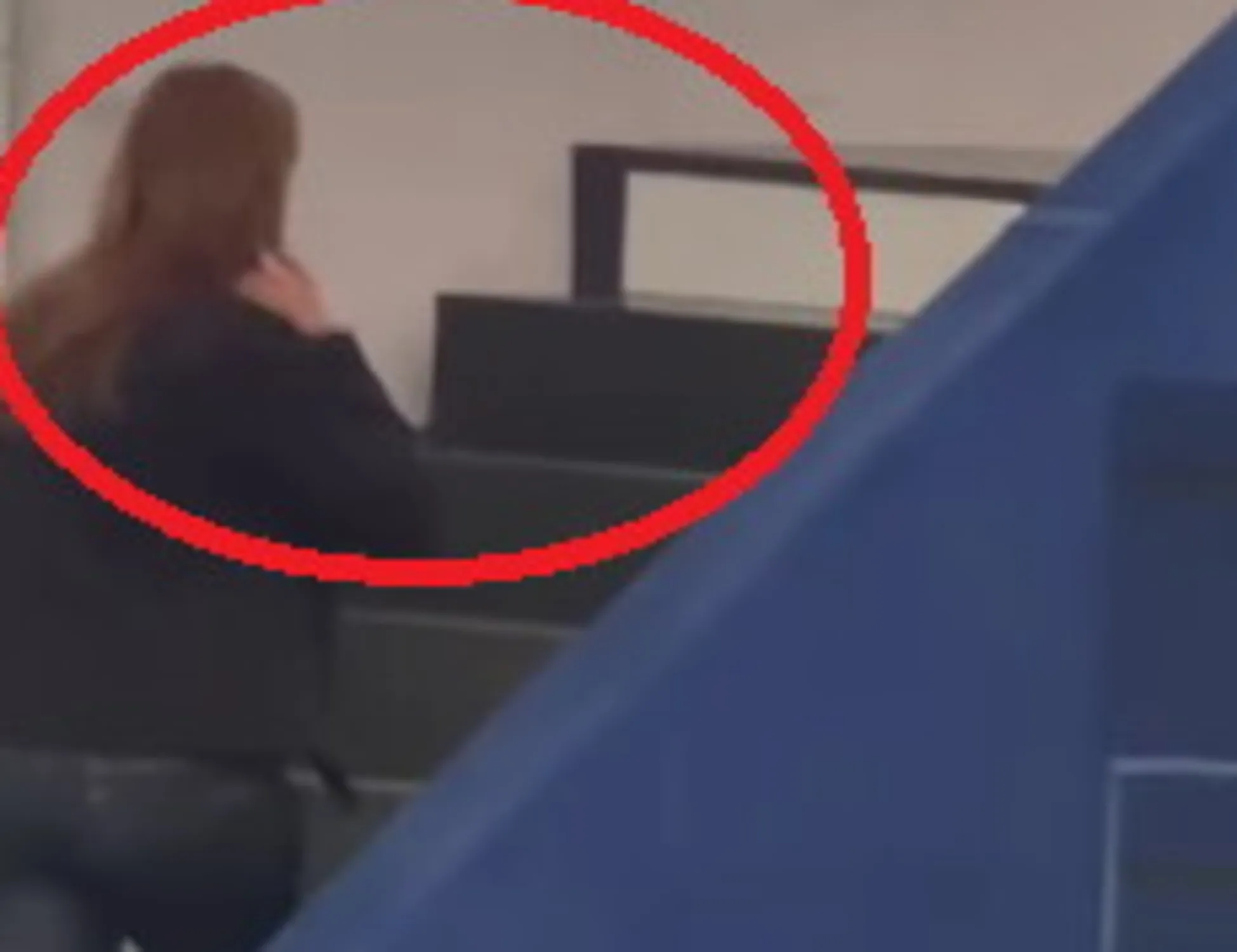 Leggi l'articolo: Domanda in aula? Lei fugge: 'Il video della codarda Ilaria Salis'