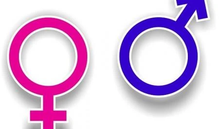 450x265