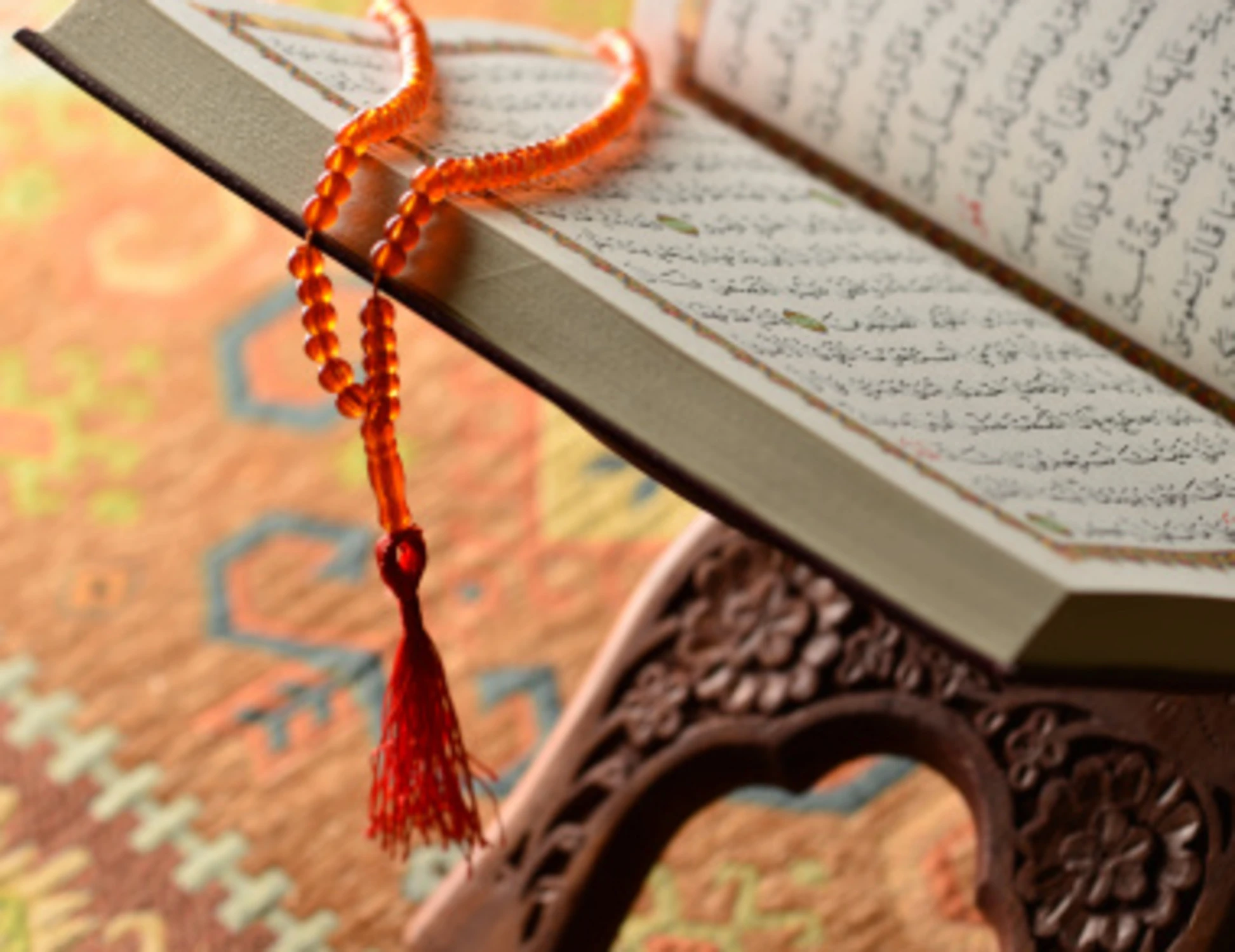 FdI, lezioni di Corano a Modena e catechismo islamico a Brindisi: "Forte sconcerto"