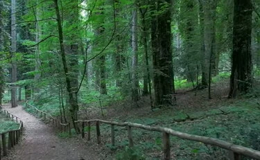 1141x535