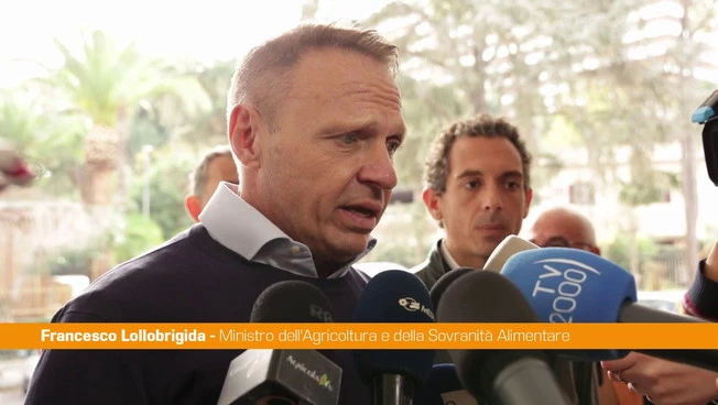 Lollobrigida "Da governo 50 mln a terzo settore per garantire aiuti alimentari"