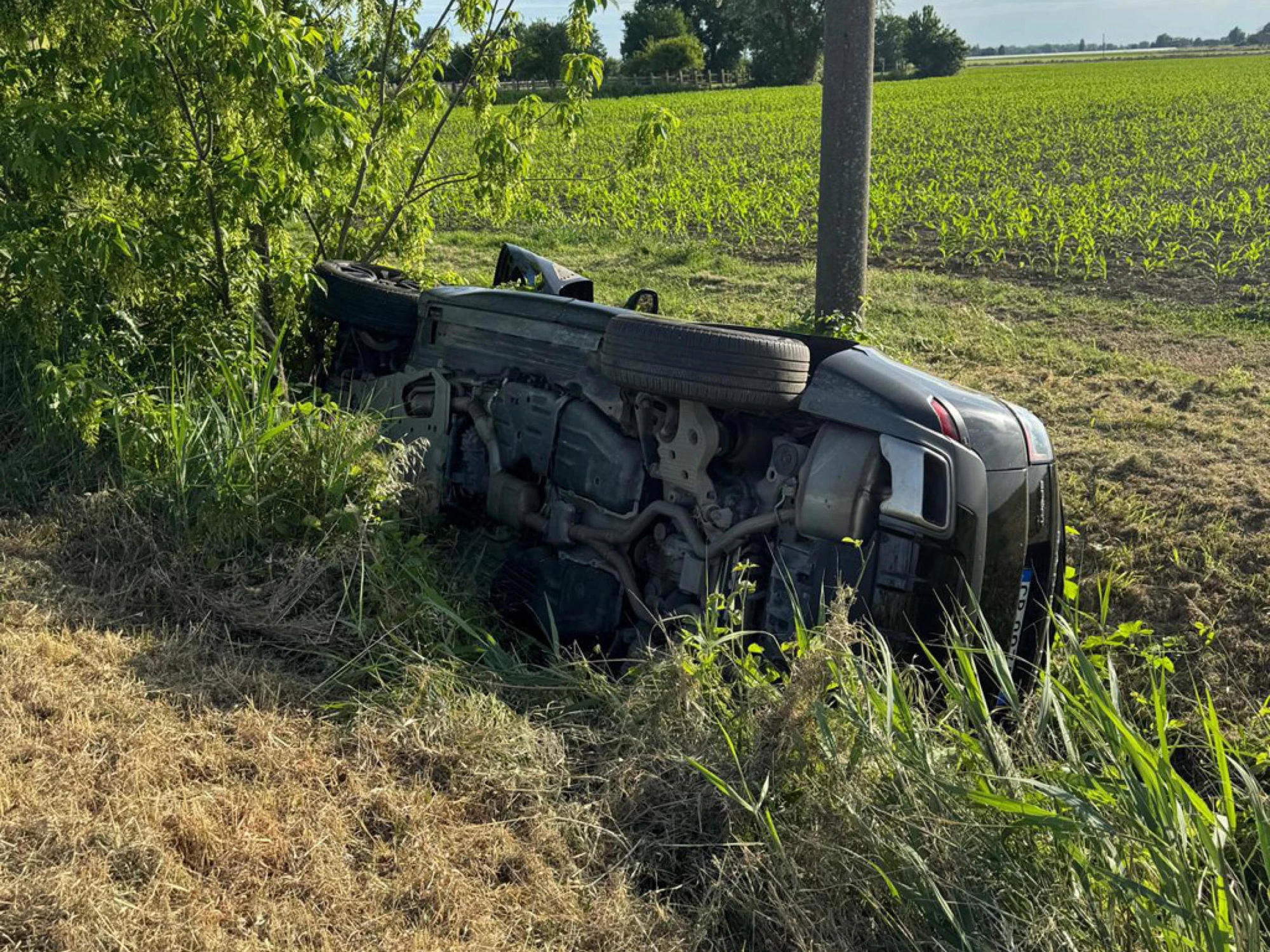 Il sindaco di Ferrara Alan Fabbri e l'assessora si schiantano in auto