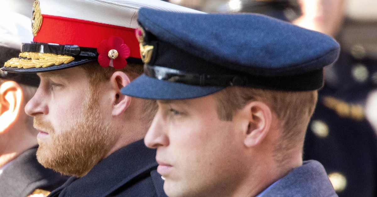 Harry e William ora passano agli insulti: "Cafone", "irresponsabile, pensaci bene". C'entra sempre Meghan Markle