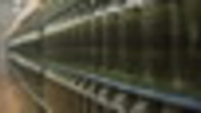 Conoe, Uco rigenerato penalizzato. Stop a Pome importato