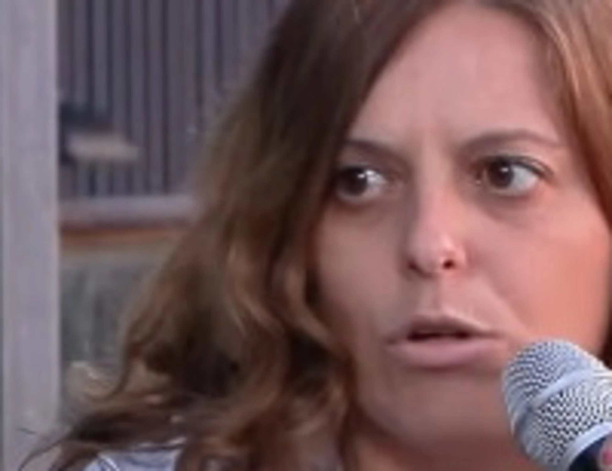 Ilaria Salis, l'ultima sparata? "Tassare le case vuote"