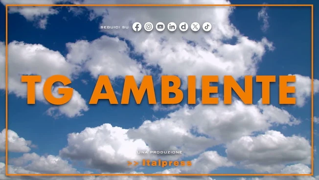 Tg Ambiente - 19/4/2026