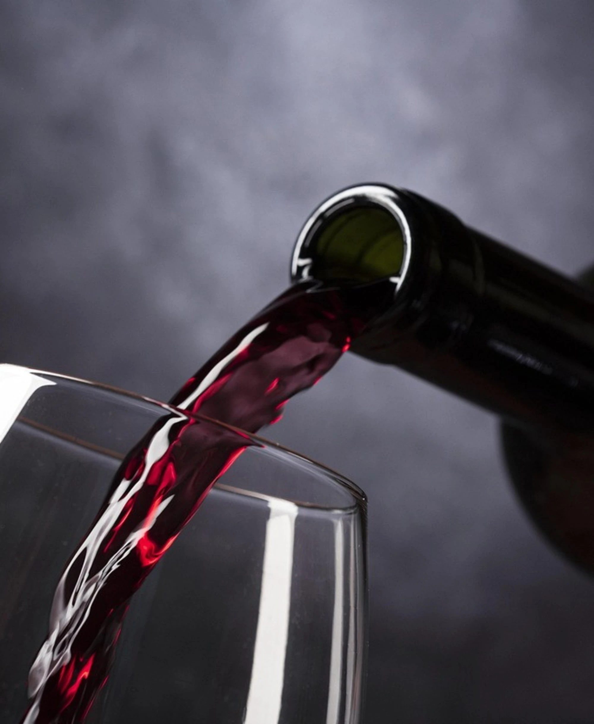 Vino Primitivo, maxi sequestro in Puglia: cosa c'era dentro