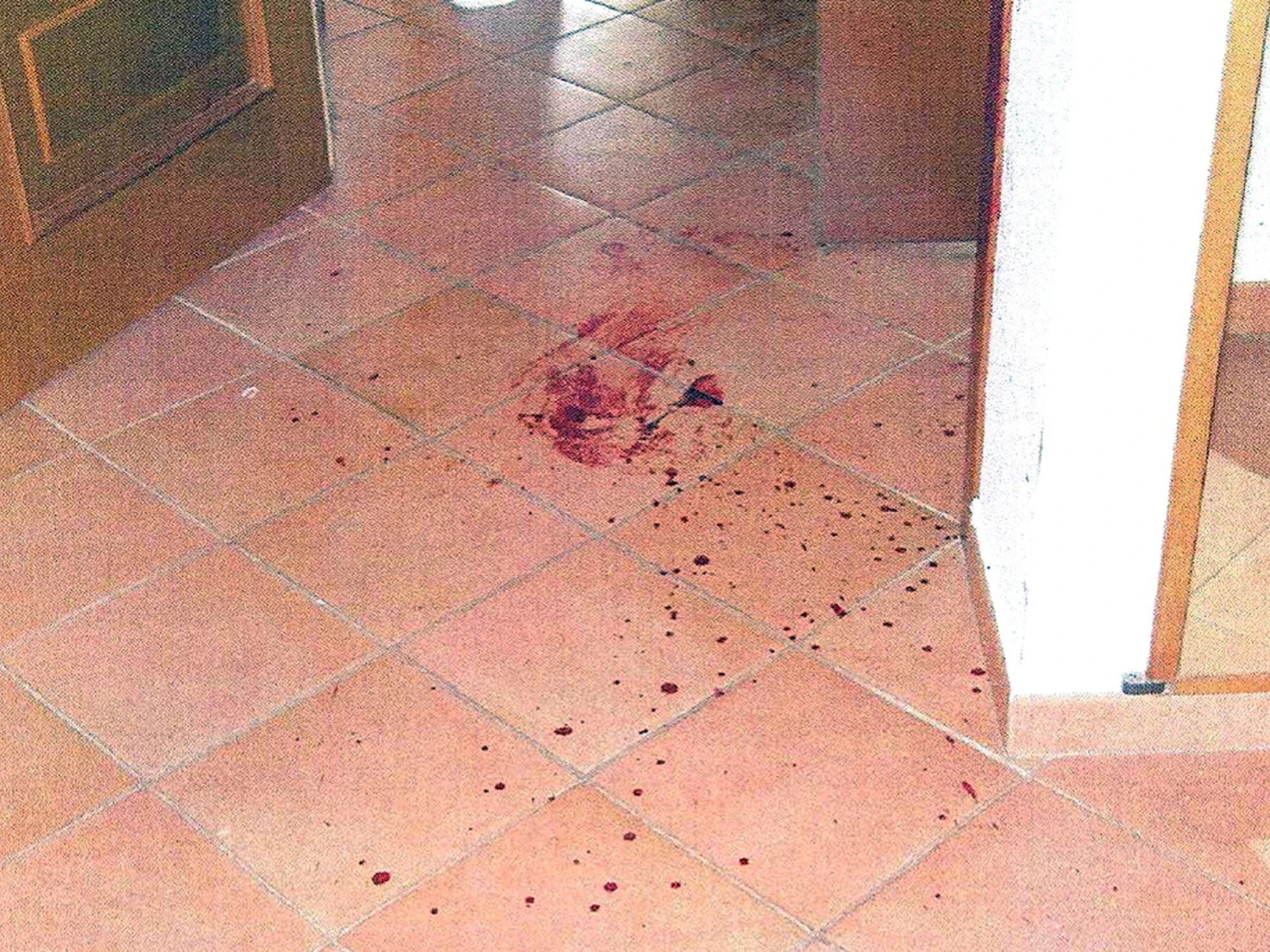 Garlasco, le carte choc dei pm: "Ecco i colpi di Sempio, come voleva cancellare il corpo di Chiara"