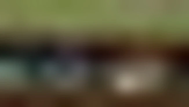1049x576